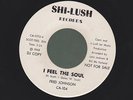 FRED JOHNSON I feel soul NORTHERN SOUL 45 on SHI LUSH
