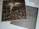 Neil Young - Mirror Ball, double lp, 12