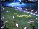 THE FLAMINGOS 1st ALBUM INSANELY RARE ORIG '57 CHECKER BLACK LABEL MONO LP NM