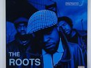 Roots 