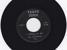 Doo Wop Vocal Group 45 The Viscaynes w/Sly Stone on Tropo from 1961