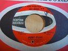 JUDY CLAY - YOU BUSTED MY MIND - SCEPTER
