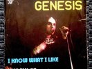 GENESIS I Know What I Like 7/45 PORTUGAL 1973 Unique Picture Sleeve Rare
