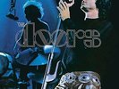 THE DOORS ABSOLUTLEY  LIVE 2 LP 180g  SEALED VINYL