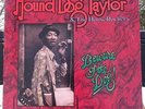 Hound Dog Taylor- Beware Of The Dog