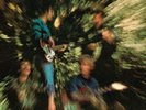 CREEDENCE CLEARWATER REVIVAL - BAYOU COUNTRY  VINYL LP NEW+
