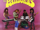 The Pandoras  It's About Time lp new color vinyl