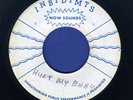 1289 JOHN HOLT-NEVER HURT MY BABY-INBIDIMTS-REGGAE 45 7