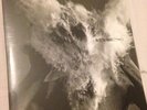 The Afghan Whigs - Do To The Beast - Double 180g Vinyl LP - New Sealed