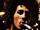 Catch A Fire - Bob & The Wailers Marley (2009, Vinyl New)