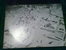 Signed harry chapin  new greatest stories live