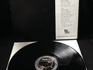 Slayer - Raining Blood Rare 12'' Promo - with In-A-Gadda-Da-Vida / Death /Thrash