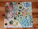 Old - The Musical Dimensions of Sleastak Vinyl Unplayed, Mint condition.