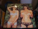 ROXY MUSIC COUNTRY LIFE.FIRST PRESS A2/B1 VINYL ALBUM LAMINATED WITH INNER