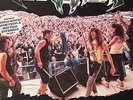 Testament live at eindhoven  LP