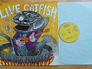 CATFISH - Live Catfish feat. BOB HODGE (Epic BN 26295 1971) RAR BLUESROCK