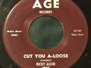RICKY ALLEN Cut You A-Loose / Faith 45 Age northern soul hear