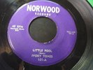 Ivory Tones -Little Fool/Things we did last summer 45  R&B Norwood 101
