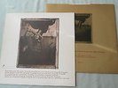 THE PIXIES LP SURFER ROSA. 4AD CAD803 1988 +GOLD INNER FRANK BLACK INDIE ROCK