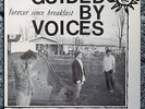 GUIDED BY VOICES, 