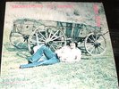 MIKE HAUN Mountains to Ashes LP PRIVATE MN LONER XIAN FOLK