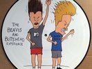 V/A beavis + butt-head experience 12