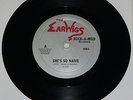 EARWIGS PRIVATE Here Comes the 45 Punk private power pop garage indie 7