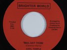 Crossover Soul Funk 45 CARL TEMPLE Soul Day Theme BRIGHTER WORLD NM HEAR