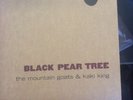 Mountain Goats & Kaki King 