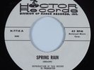 Disco Funk 45 HOCTOR Spring Rain HOCTOR VG+ HEAR