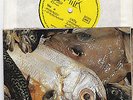 Lucrate Milk - Nepla Relou - MILK 007 - ORIGINAL RARE 45RPM