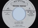 Popcorn R&B Soul 45 SUNNY GALE A Little You RCA HEAR
