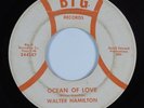 Northern Soul/Deep Soul 45 WALTER HAMILTON Ocean Of Love BIG H HEAR