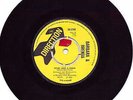 Barbara & Brenda - Never Love A Robin / Sally's Party  7