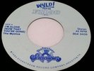 RARE VERY OBSCURE PRIVATE NEW ORLEANS MODERN SOUL THE MYSTICS 