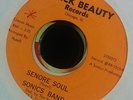 SONICS BAND- SENORE SOUL / NICKLE BAG **SOUL  7