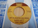 MARVIN GAYE & TAMMI TERRELL - AIN'T NO MOUNTAIN HIGH ENOUGH - TAMLA