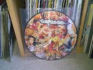 CARCASS - Reek Of Putrefaction PIC LP. AUTOPSY NAPALM DEATH ENTOMBED REPULSION