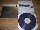 SAVES THE DAY Stay What You Are PURPLE LP UNPLAYED_blink 182 fall out boy cd 7