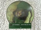 Sky Ferreira Night Time My Time Vinyl LP Picture Disc 12