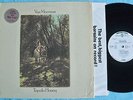 Van Morrison; TUPELO HONEY; 1971 White Label Promo LP w/ NM Poster