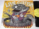 LP CATFISH FEATURING BOB HODGE - LIVE CATFISH ORIGINAL EPIC YELLOW 1971 UNPLAYED