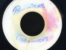 1228 VICEROYS-PROMISES-I'M RIGHTEOUS-MATADOR PRE-REGGAE 45 7