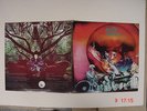 Amon Düül II 2LP Tanz Der Lemminge