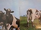 PINK FLOYD ATOM HEART MOTHER HARVEST SHVL 781 GATEFOLD DAVE GILMOUR RARE ALBUM