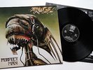 RAGE - Perfect Man LP 1988 (N 0112-1)