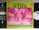 GTO'S, Girls Together Outrageously,PERMANENT DAMAGE 1969 PROMO, NEAR MINT, RARE