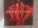 Peace In Love Vinyl LP 12