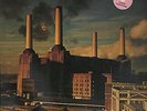 Pink Floyd - Animals - Pink Wax