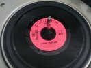 THE PUSSYCATS - I WANT YOUR LOVE. Garage, Girl Group, Fuzz, Psych.